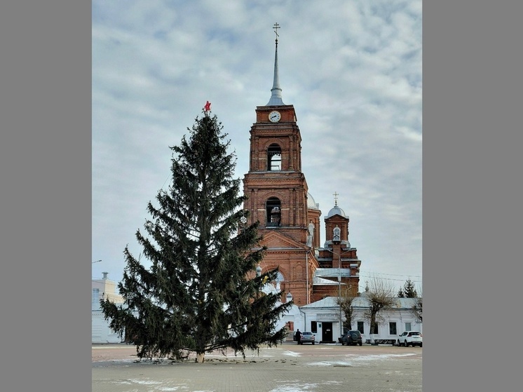 В Бутурлиновском районе снесенную ураганом новогоднюю ель вернули на место