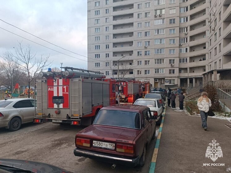 За неделю в Тульской области на 24 пожарах спасли 20 человек