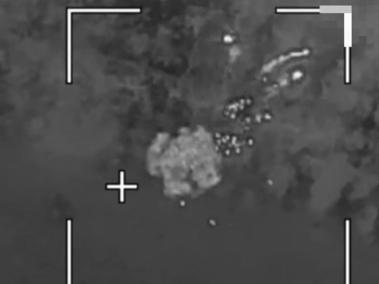 В Херсонской области уничтожили замаскированное орудие ВСУ