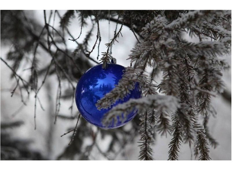 Главную елку Октябрьского округа откроют 19 декабря