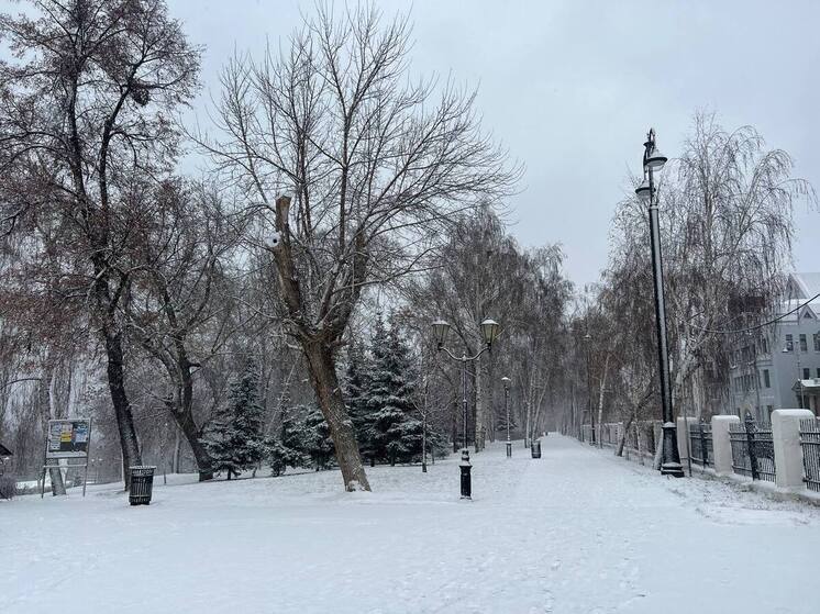 В Самаре 14 декабря выпало 1,4 мм осадков — 28,3% от декабрьской нормы