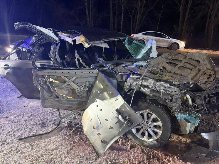 Четверо детей и двое взрослых пострадали в аварии в Рязанском районе