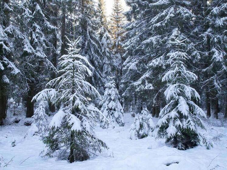 Синоптики уточнили прогноз погоды на Сахалине и Курилах на вторник, 16 декабря