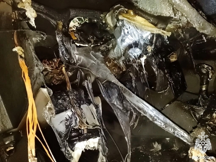 В Велиже загорелся автомобиль