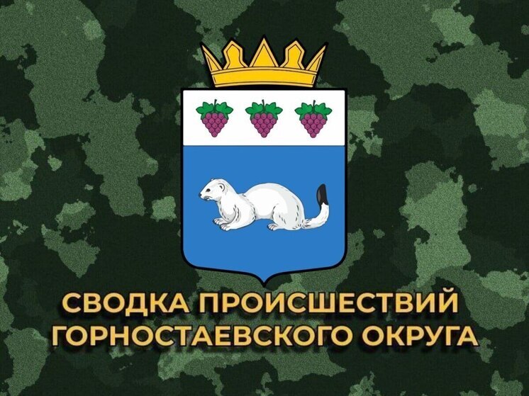 За сутки ВСУ 16 раз обстреляли Горностаевский округ