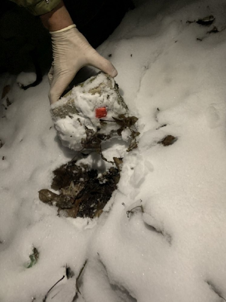 В Муроме задержан курьер-закладчик из Смоленска с клефедроном в карманах