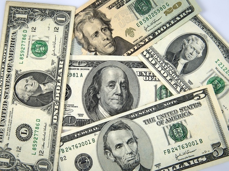 Финансист Селезнев: комфортный для россиян курс доллара находится в диапазоне от 23 до 45 рублей