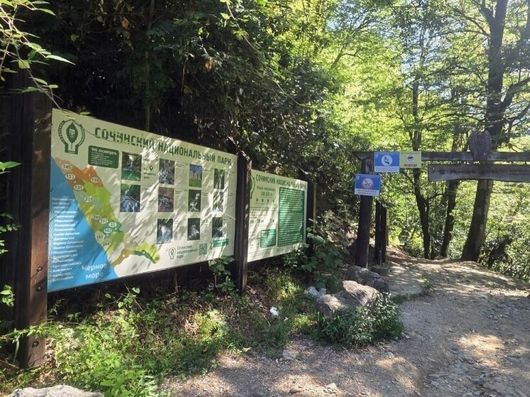 Спасатели достали из русла реки Агвы жителя Сочи с травмой плеча