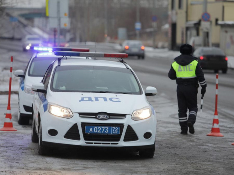 В Тюменской области Дед Мороз и Снегурочка подключатся к акции «За безопасность!»