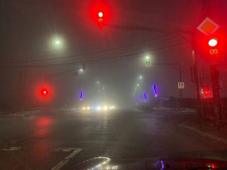 МЧС предупреждает: туман с видимостью до 500 м ожидается в Пензенской области 16 декабря