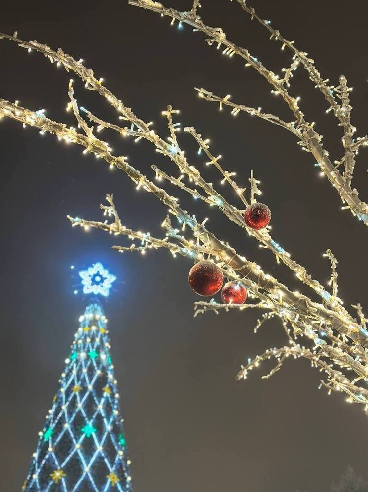 В Иркутске подводят итоги конкурса елочных игрушек «Приключения в облаках»