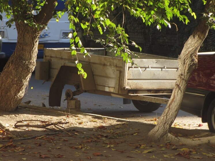 В Саратове мечтавший о полуприцепе мужчина стал жертвой мошенников