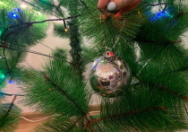 С приближением новогодних праздников в Омске растёт спрос на искусственные ёлки