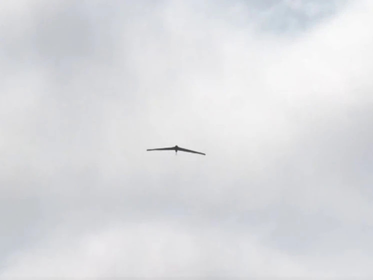Над Калмыкией сбили 4 БПЛА самолетного типа