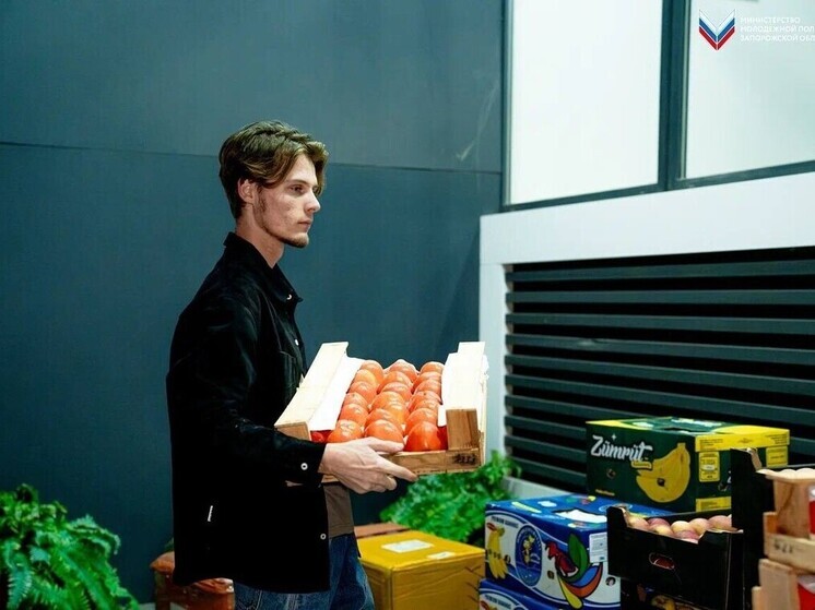 Активисты из Запорожской области передадут фруктовые наборы детям и военнослужащим