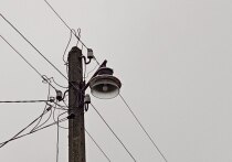 День приручения уличных фонарей — такой необычный и неофициальный праздник отмечается 15 декабря