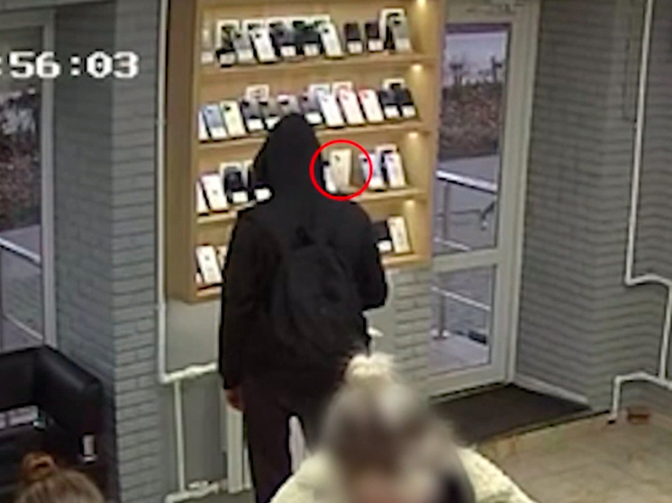 Липецкая полиция остановила волну краж благодаря поимке 32-летнего подозреваемого