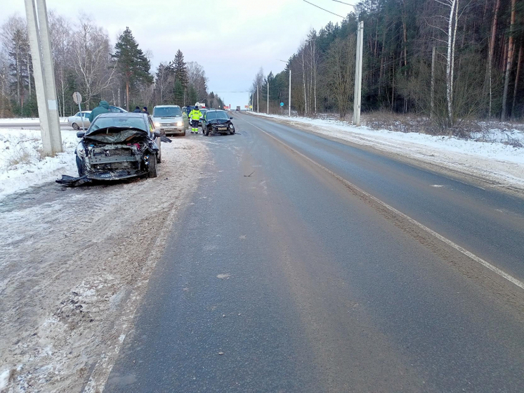 Во Владимирской области произошло 385 ДТП за прошлую неделю