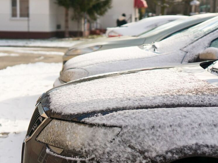 Максим Ликсутов рассказал о развитии чат-бота «Александра»