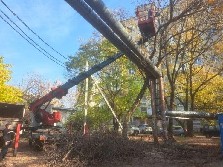 В центре Краснодара стартовал финальный этап подготовки деревьев к зиме
