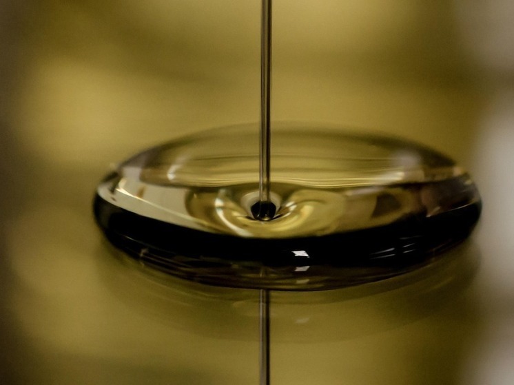 В Башкирии производителя моторного масла обязали получить экологическое разрешение