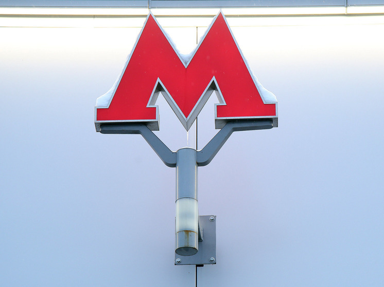 Мужчину арестовали за домогательства в московском метро