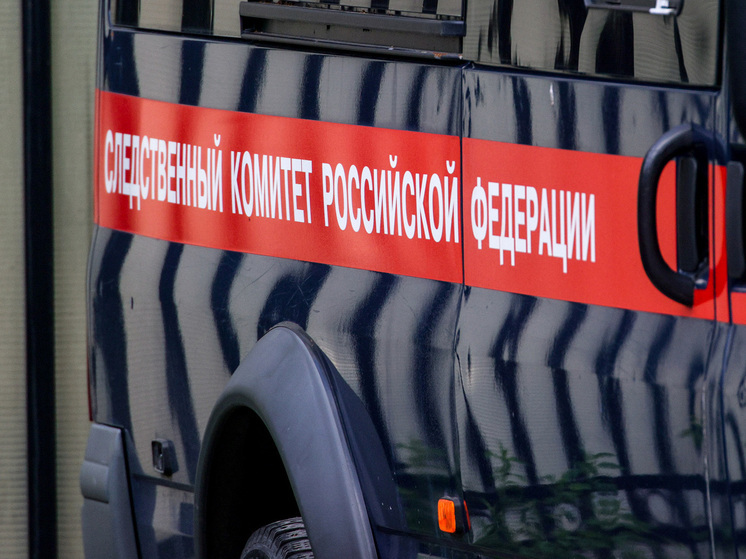 Выяснились новые подробности об избиении ребенка в одном из магазинов в подмосковном городе Химки