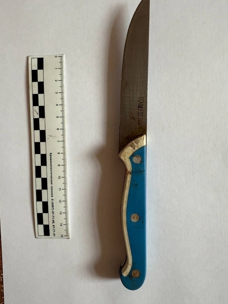 Жительница Гусь-Хрустального 69 раз ударила подругу ножом