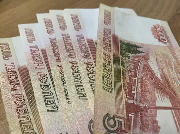 «Образ будущего» подал иск к воронежским казакам на пол миллиона рублей