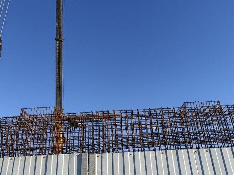 Агропарк в Петербурге расширят на 300 тысяч квадратов за 23 млрд рублей