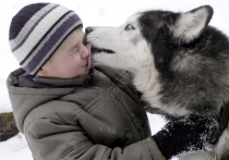 Выбирая собаку, важно трезво оценивать свои силы и образ жизни