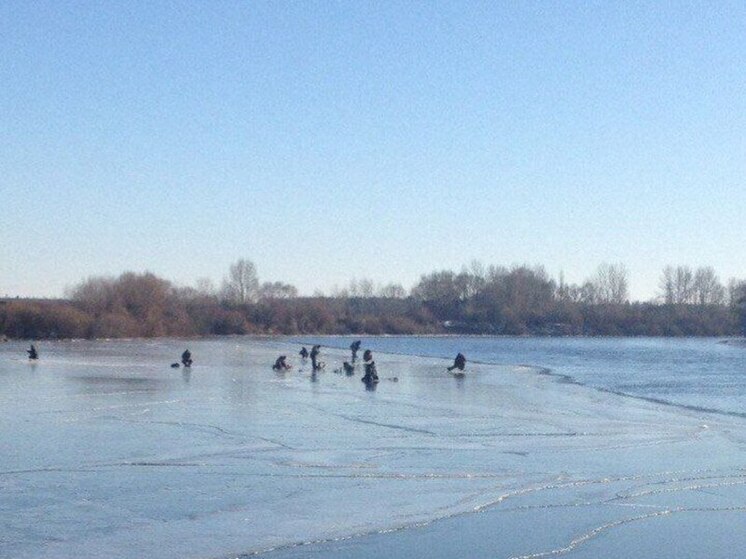 74 человека утонули в Воронежской области с начала года