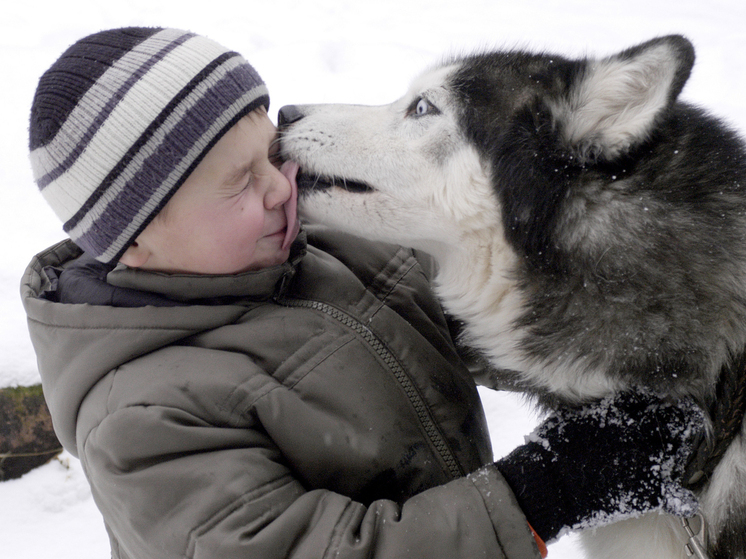 Ветеринар рассказал, какие породы собак требуют длительного и активного выгула