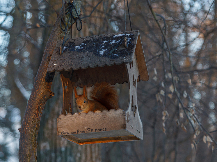 Музей-усадьба «Ясная Поляна» объявляет международные детские конкурсы