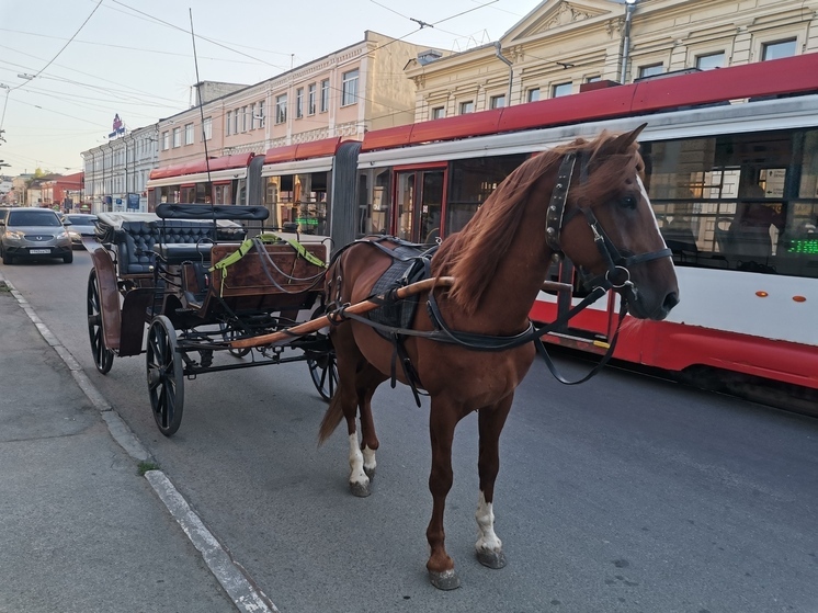 Самарская область вошла в ТОП-3 регионов ПФО по количеству туристов в 2025 году