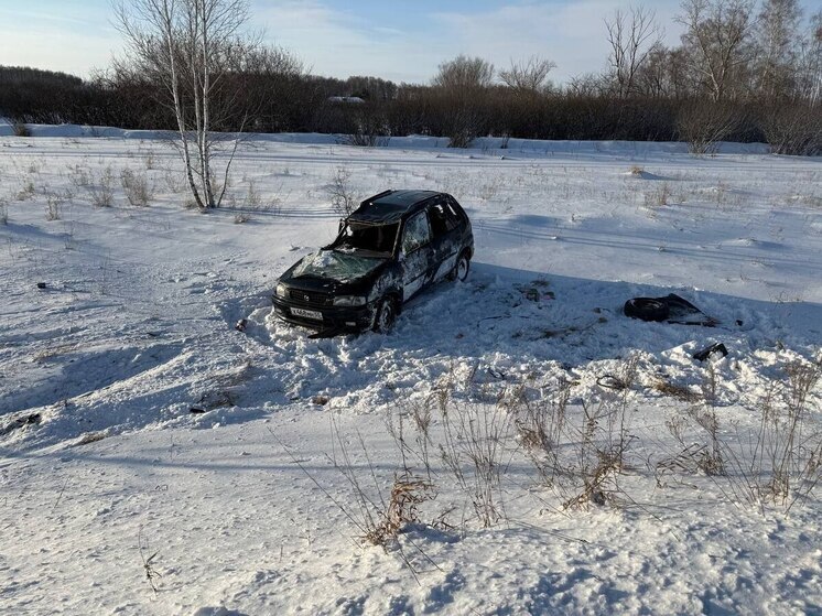 В Омской области водитель Mazda вылетел в кювет и погиб
