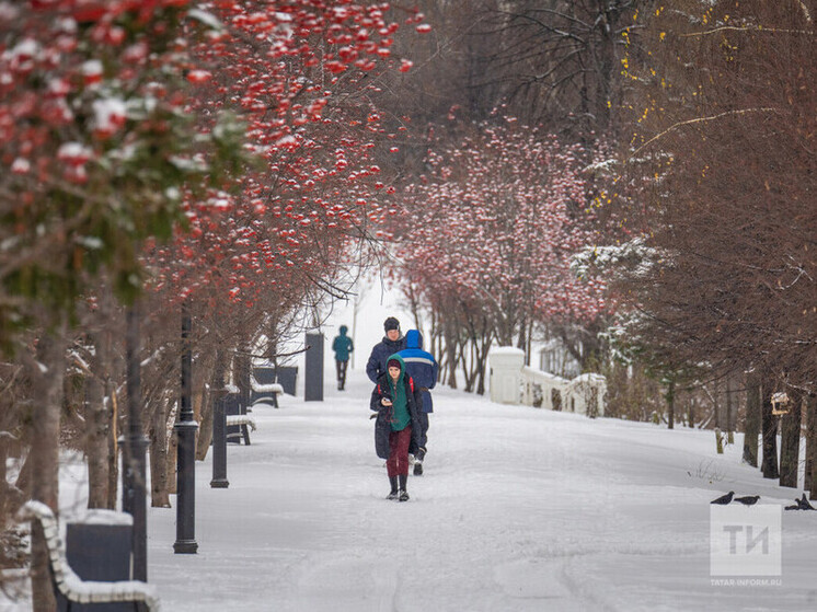 Казанцев приглашают на образовательные встречи на бульваре по улице Серова