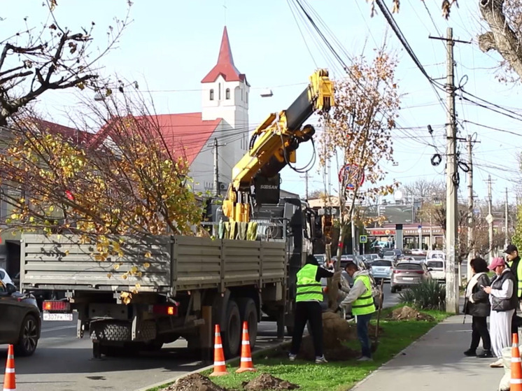 В Симферополе высадили более 300 деревьев