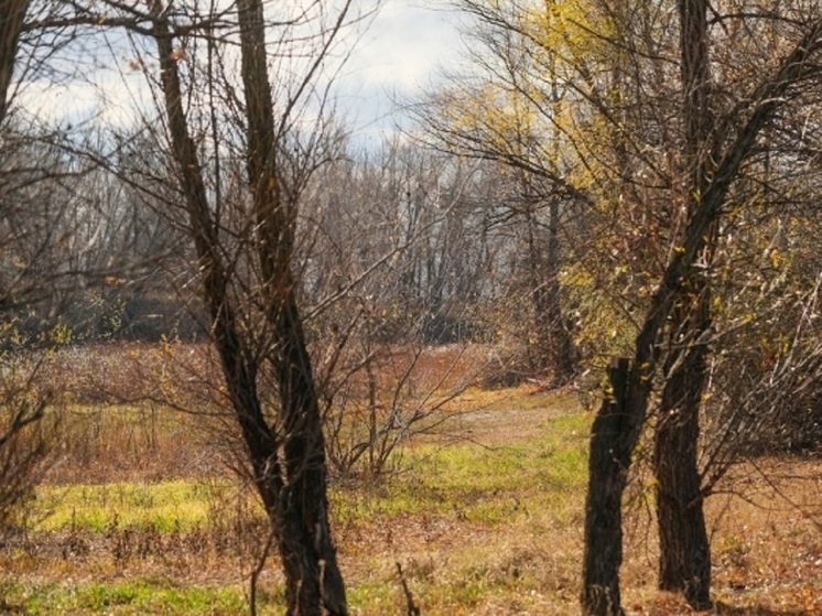 В Астраханской области спасли заблудившегося 62-летнего охотника