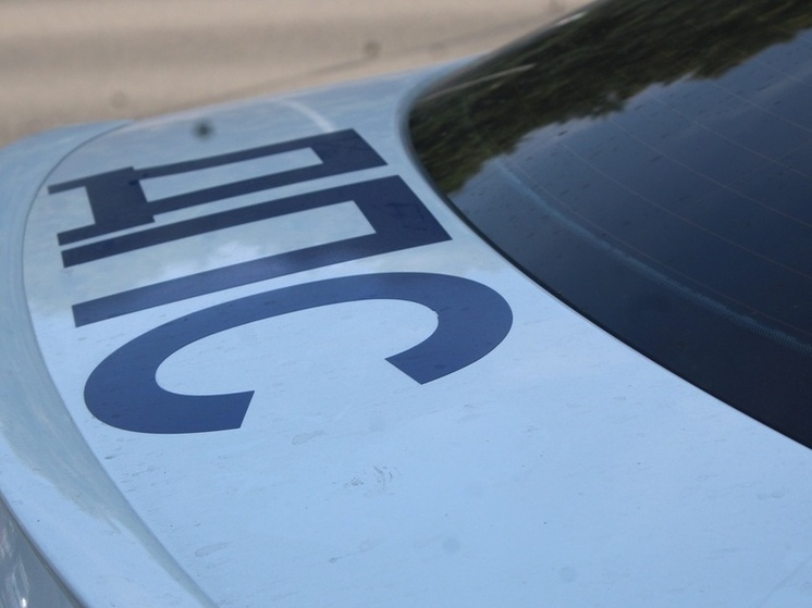 Тульская Госавтоинспекция ищет очевидцев смертельного ДТП в Алексине