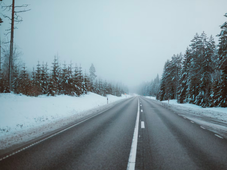 Под Брянском иномарка в ДТП столкнулась с зерном кукурузы