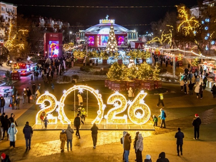 В Рязани официально стартовали мероприятия проекта «Новогодняя столица России»