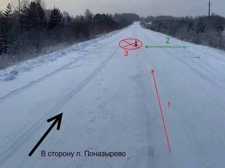 Костромские ДТП: на трассе пенсионерка на «Рено» сбила пешую пенсионерку