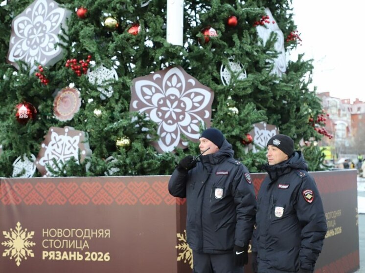 УМВД: Более 5 000 человек посетили открытие Новогодней столицы в Рязани