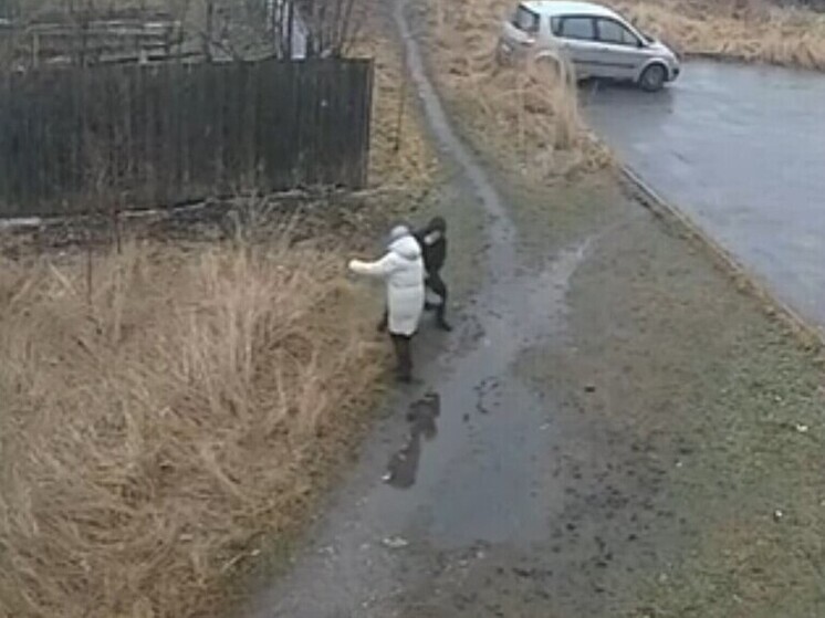 Девушка попыталась ограбить пенсионерку на улице в Тверской области