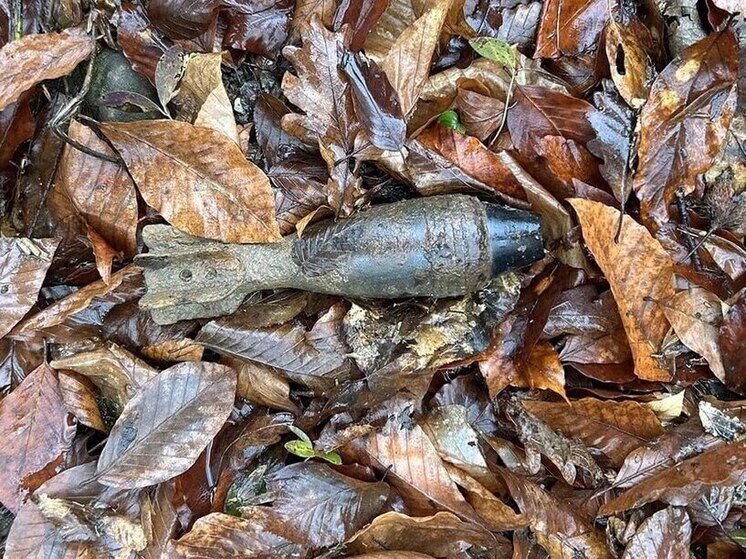 В Горячем Ключе взрывотехники обезвредили мину времен ВОВ