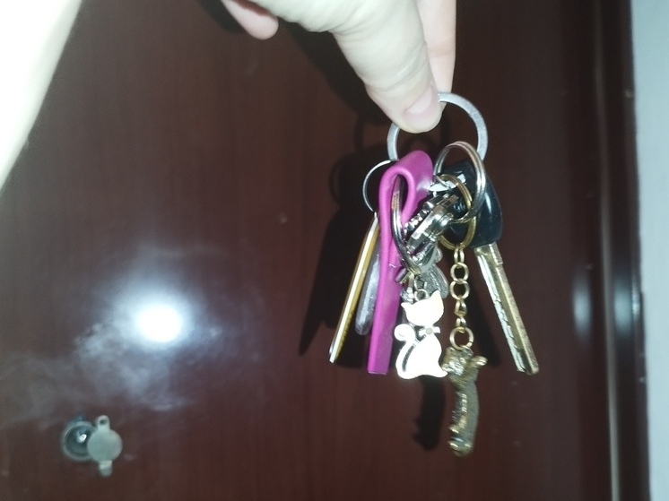 Число фиктивных регистраций в России сократилось почти вдвое