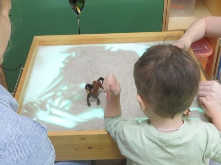 Жительница Архангельска Юлия Осипова обратилась к губернатору области Александру Цыбульскому через платформу обратной связи во время прямой линии