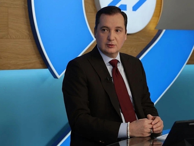 Жительница Архангельска Юлия Осипова обратилась к губернатору области Александру Цыбульскому через платформу обратной связи во время прямой линии