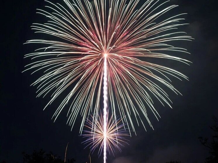 В Ленобласти не будут вводить запрет на новогодние фейерверки